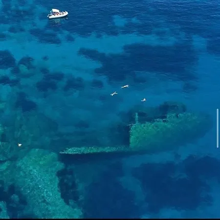 Casa Gaia A 20 Mt Dal Mare Διαμέρισμα *